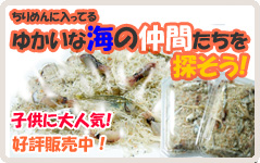 大分産生ちりめん